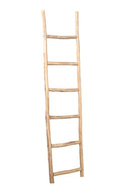Wd ladder 43x4x185cm